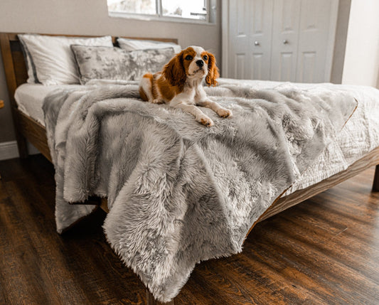 Coperta impermeabile a pelo corto per l'estate PupProtector™ - Grigio