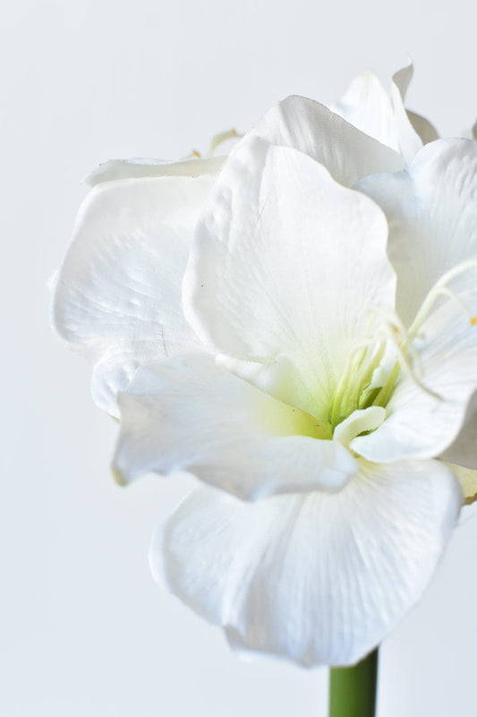 29" Faux White Amaryllis Stem