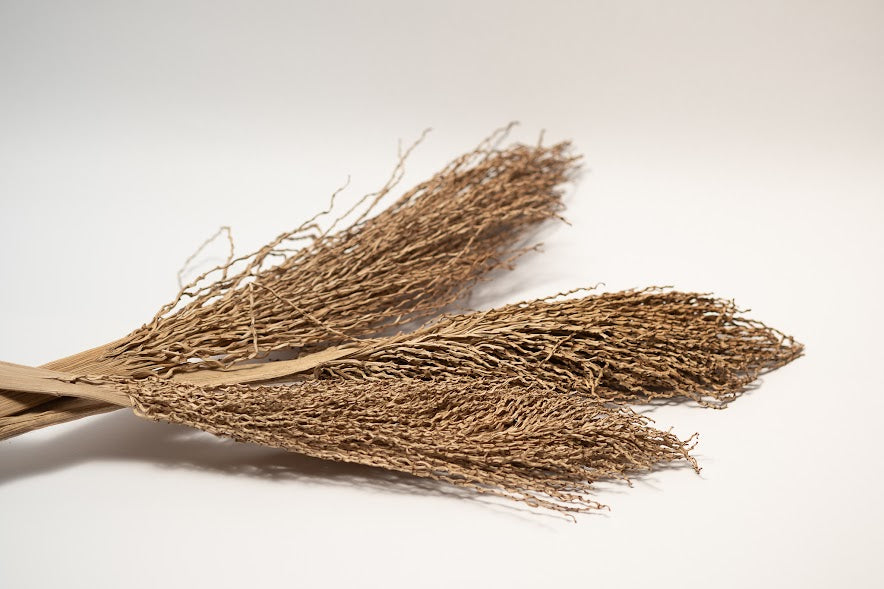 Date Palm Stalk