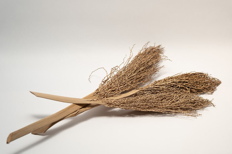 Date Palm Stalk