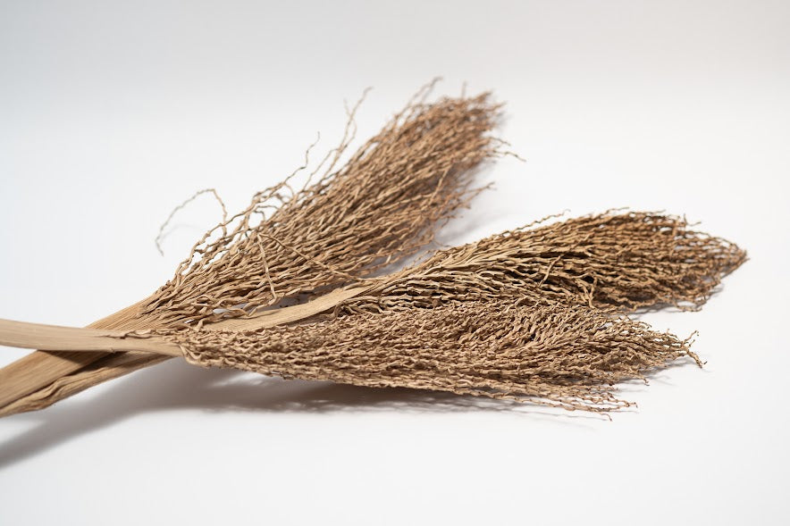 Date Palm Stalk