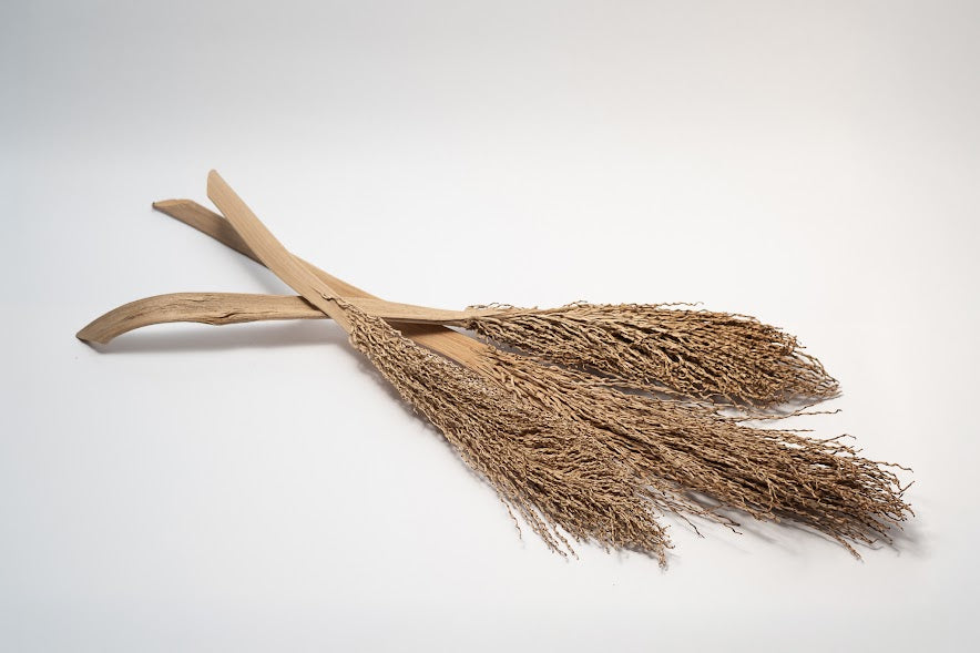 Date Palm Stalk