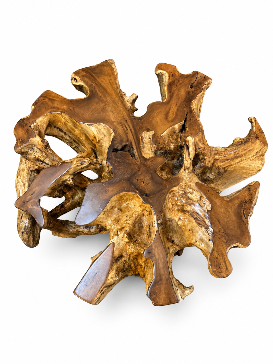 Nusa Teak Root Dining Table