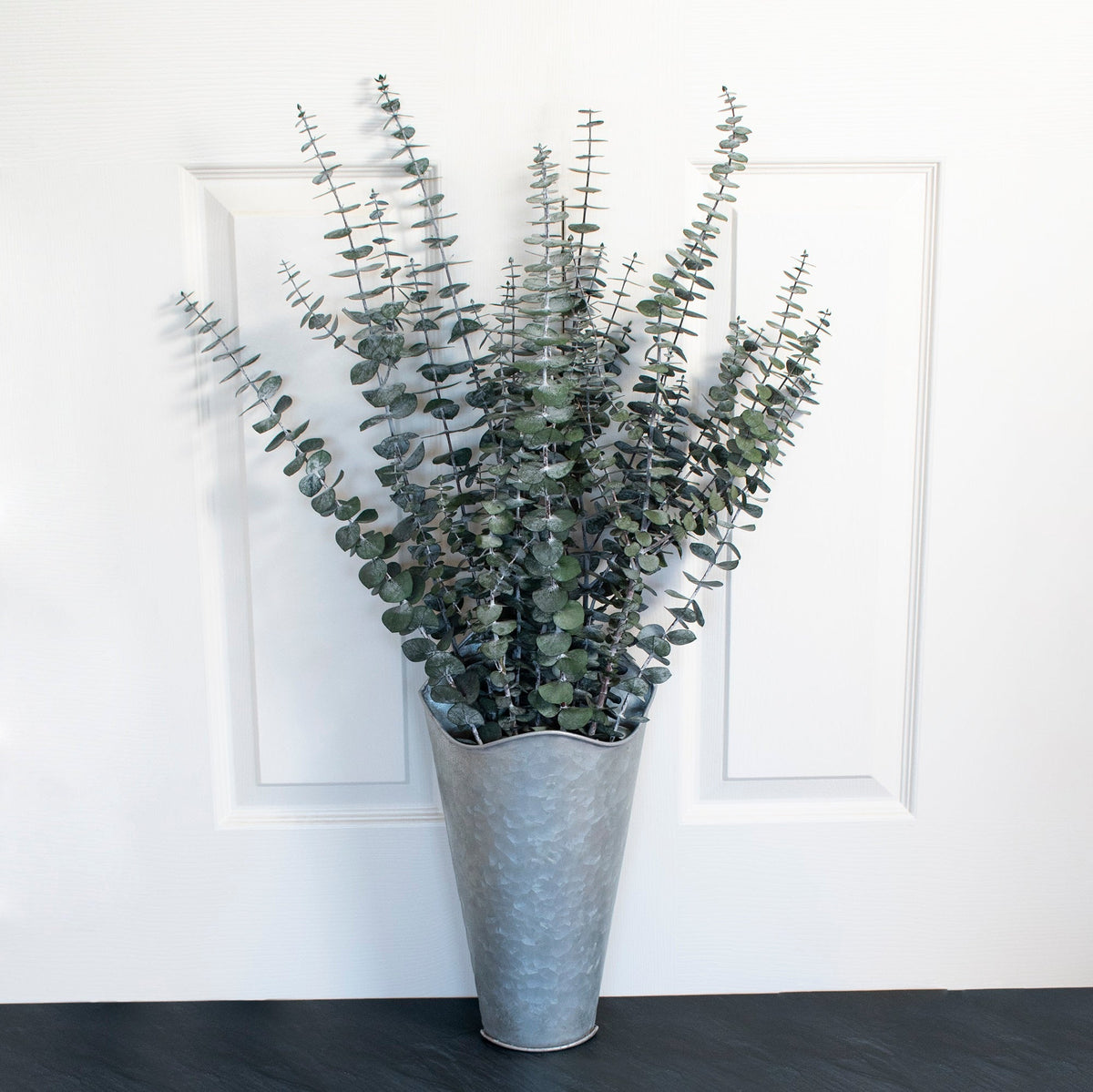 Preserved Baby Eucalyptus Bundle 8oz