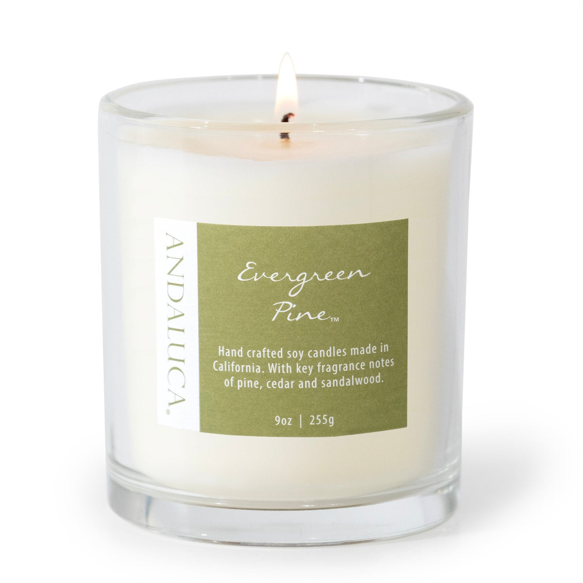 Evergreen Pine 9oz Candle