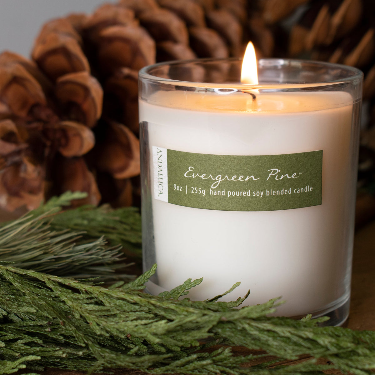 Evergreen Pine 9oz Candle