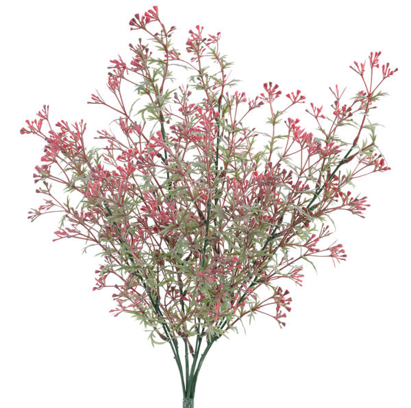 Wildflower Bush, Color Options