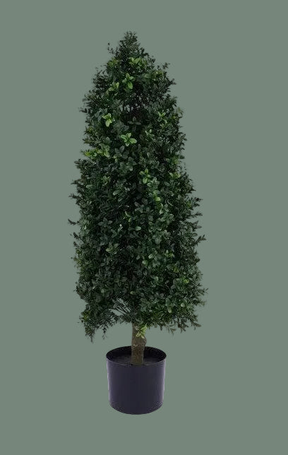 Cone Shape Boxwood Topiary 36"H