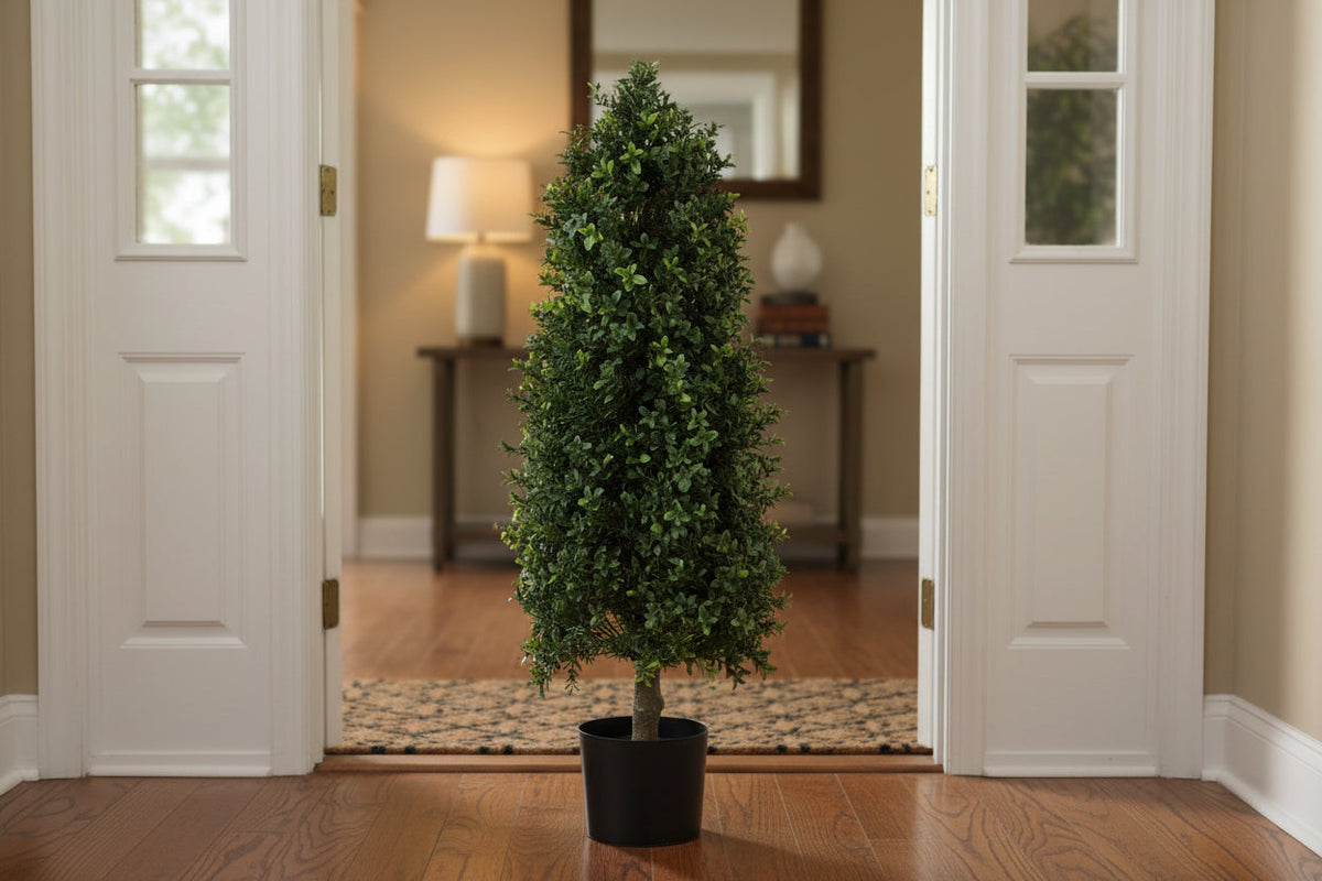 Cone Shape Boxwood Topiary 36"H