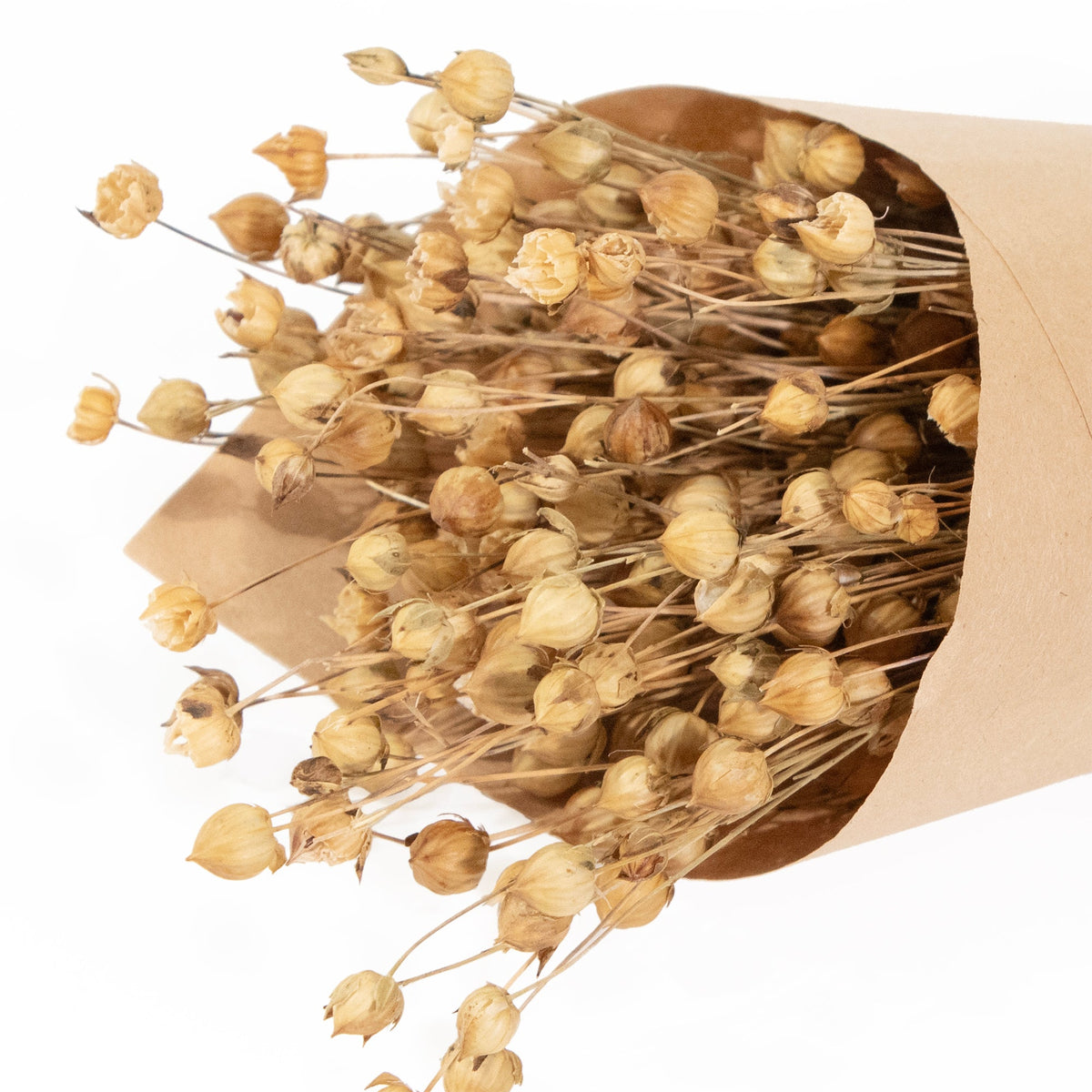 MINI Flax Bundle