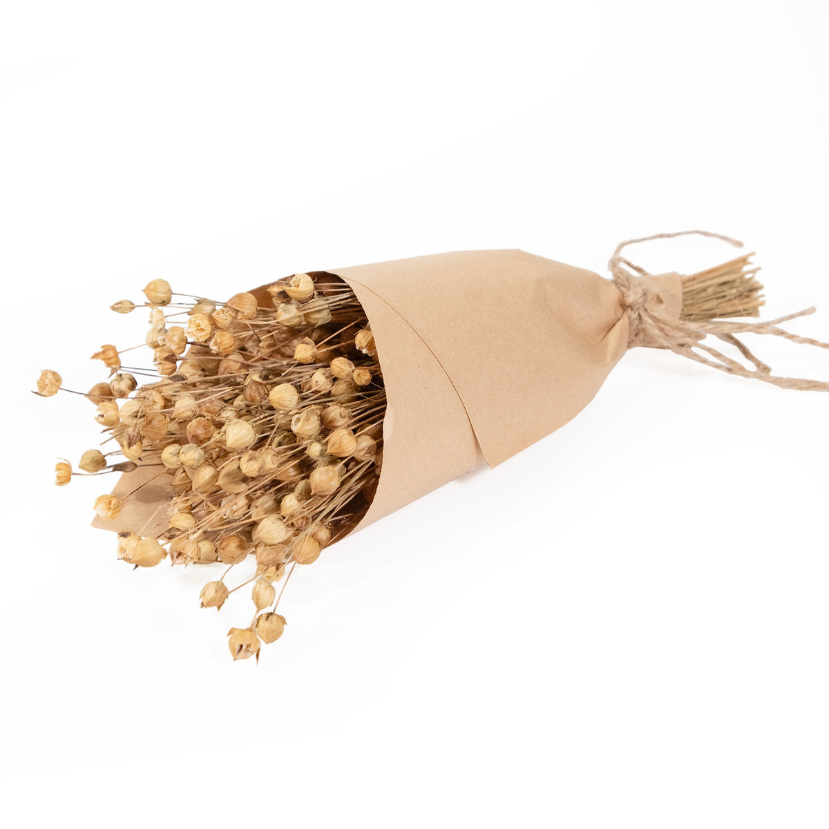 MINI Flax Bundle