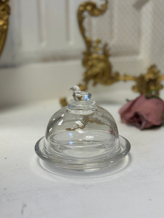 Cloche en verre pour oiseau