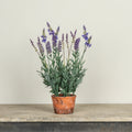 Potted Lavender G242333 Faux Floral 43.2 cm
