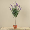 Potted Lavender Tree G242335 Faux Floral 91.4 cm