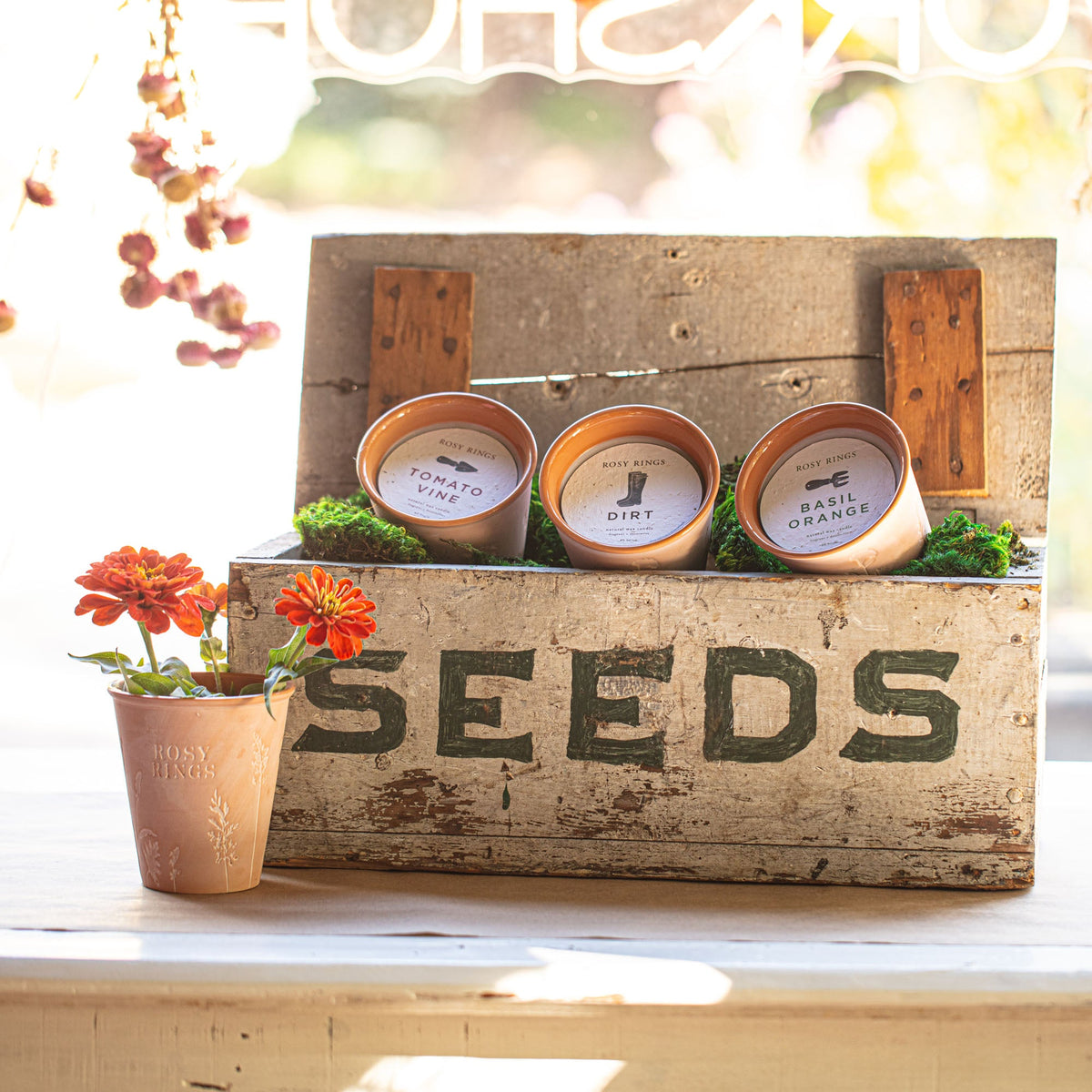 Tomato Vine Garden Pot Candle + Plantable Seed Paper Dust Covers
