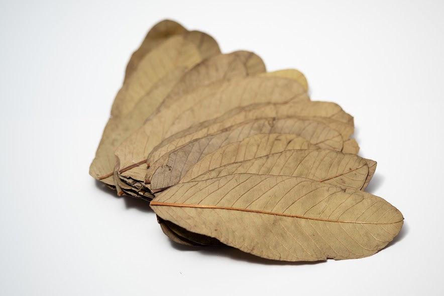 Dried Guava Leaves - 25 pack