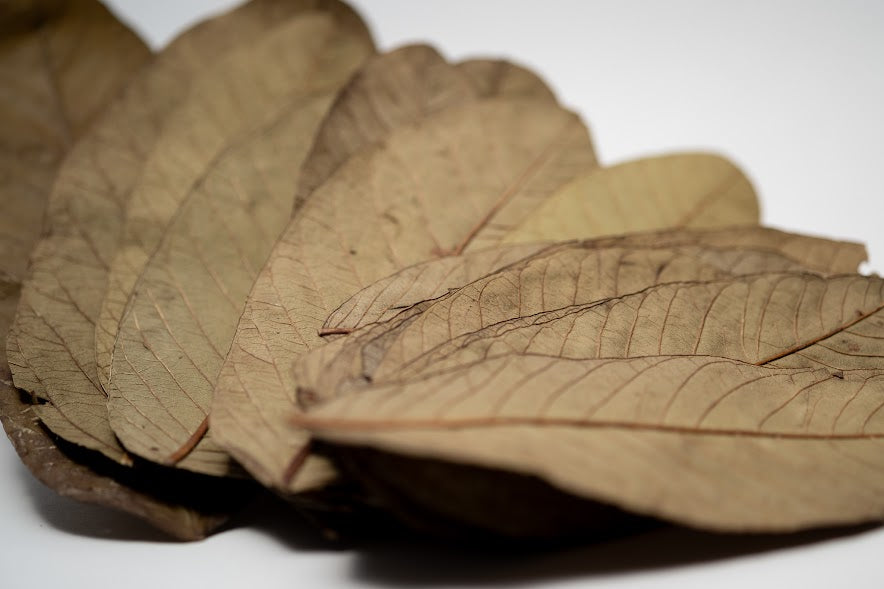 Dried Guava Leaves - 25 pack