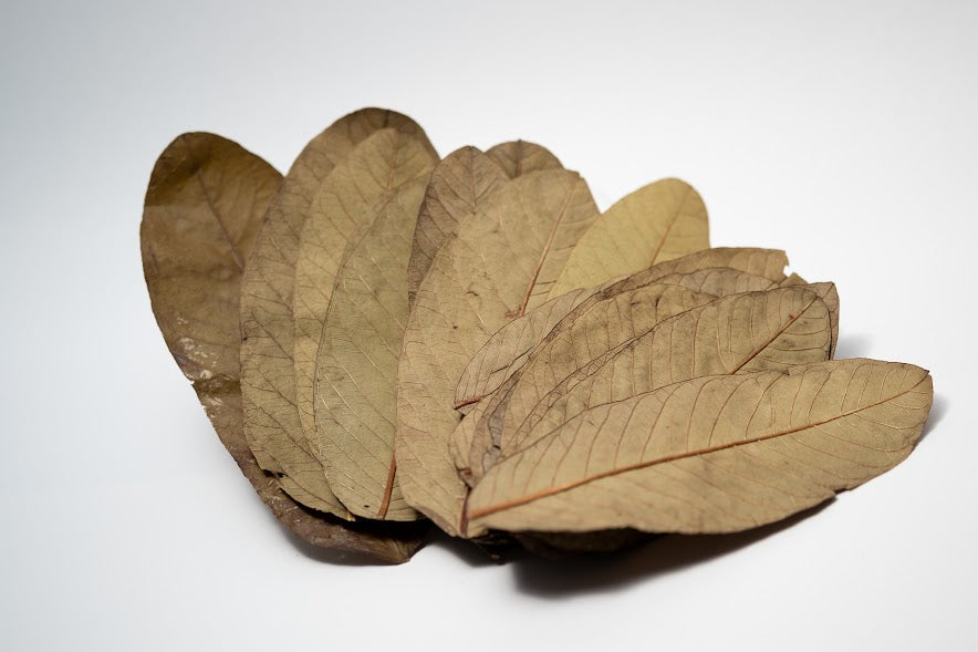 Dried Guava Leaves - 25 pack