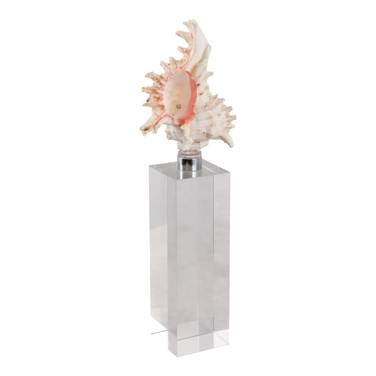 Capri Natural Seashell Sculpture on Crystal Base
