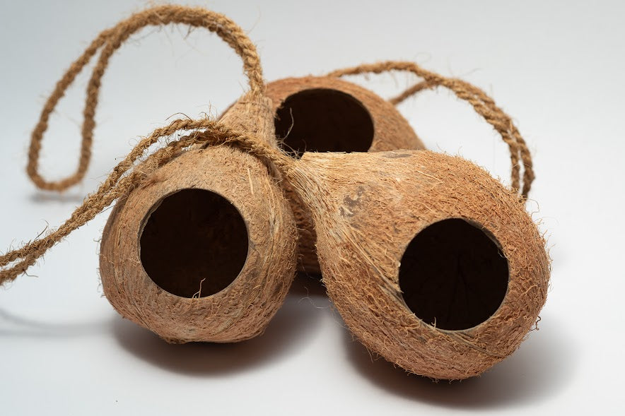 Hanging Coconut Shell Hideout