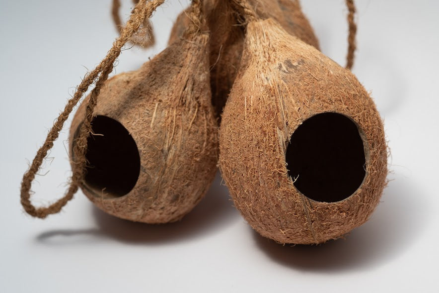 Hanging Coconut Shell Hideout