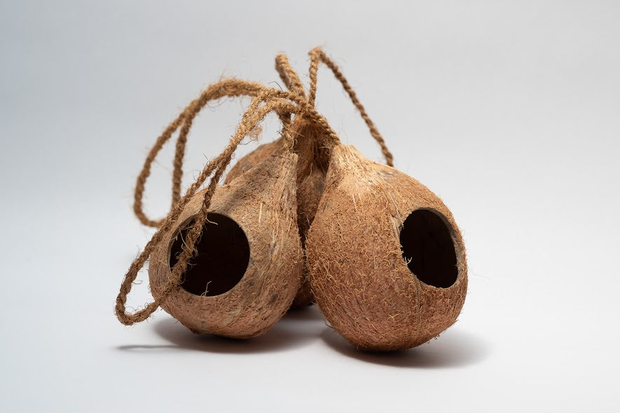 Hanging Coconut Shell Hideout