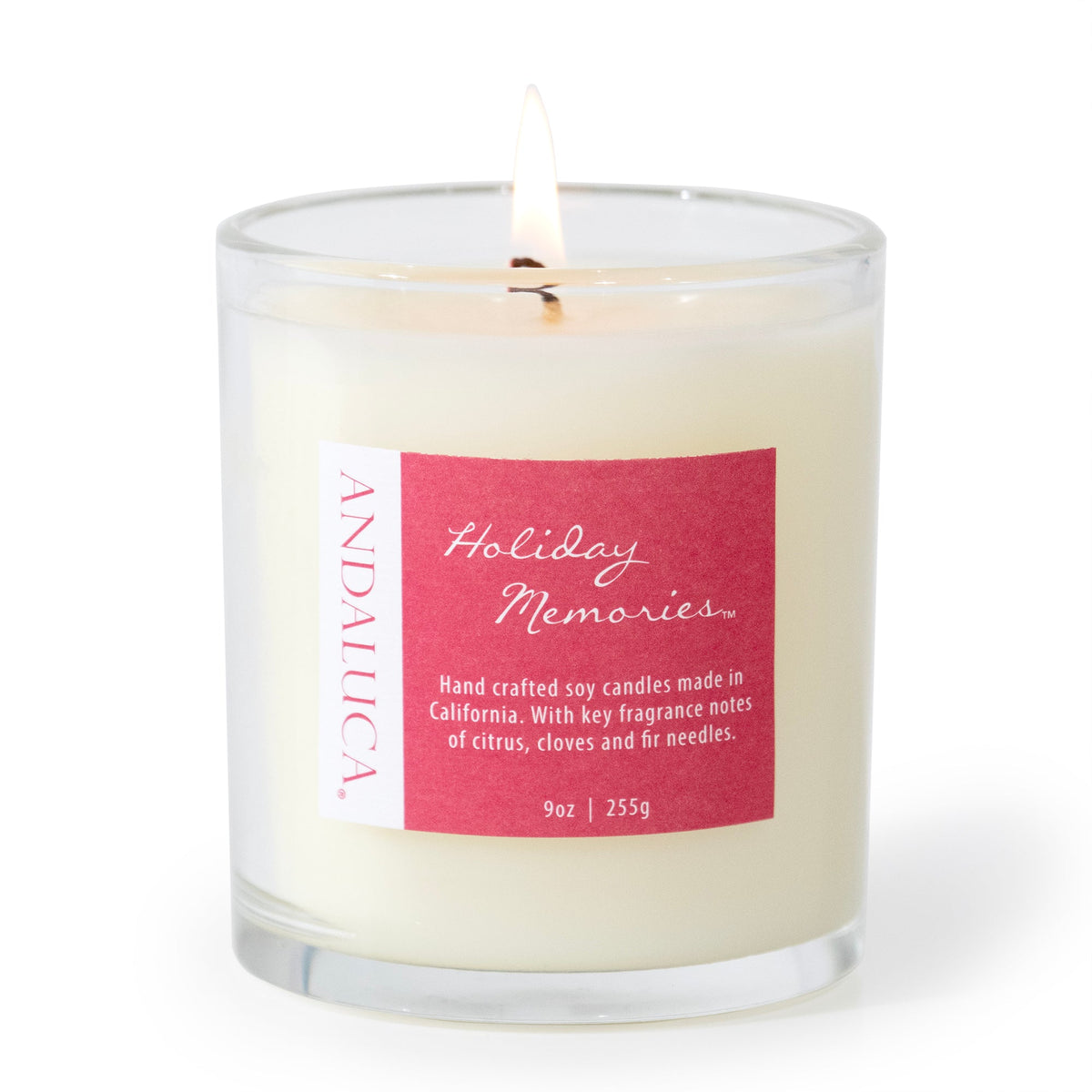 Holiday Memories 9oz Candle