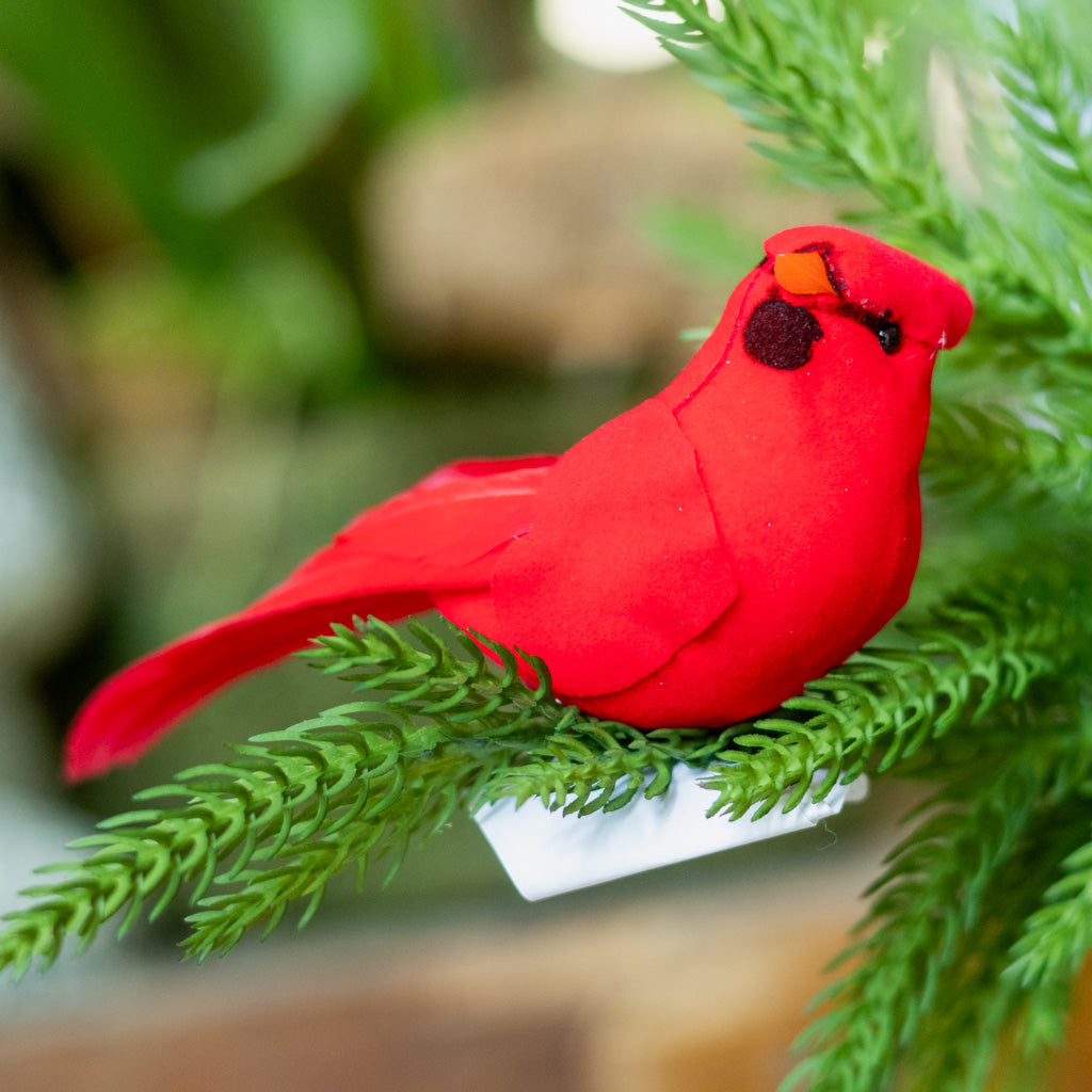 Velvet Feather Red Cardinal Clip Ornament
