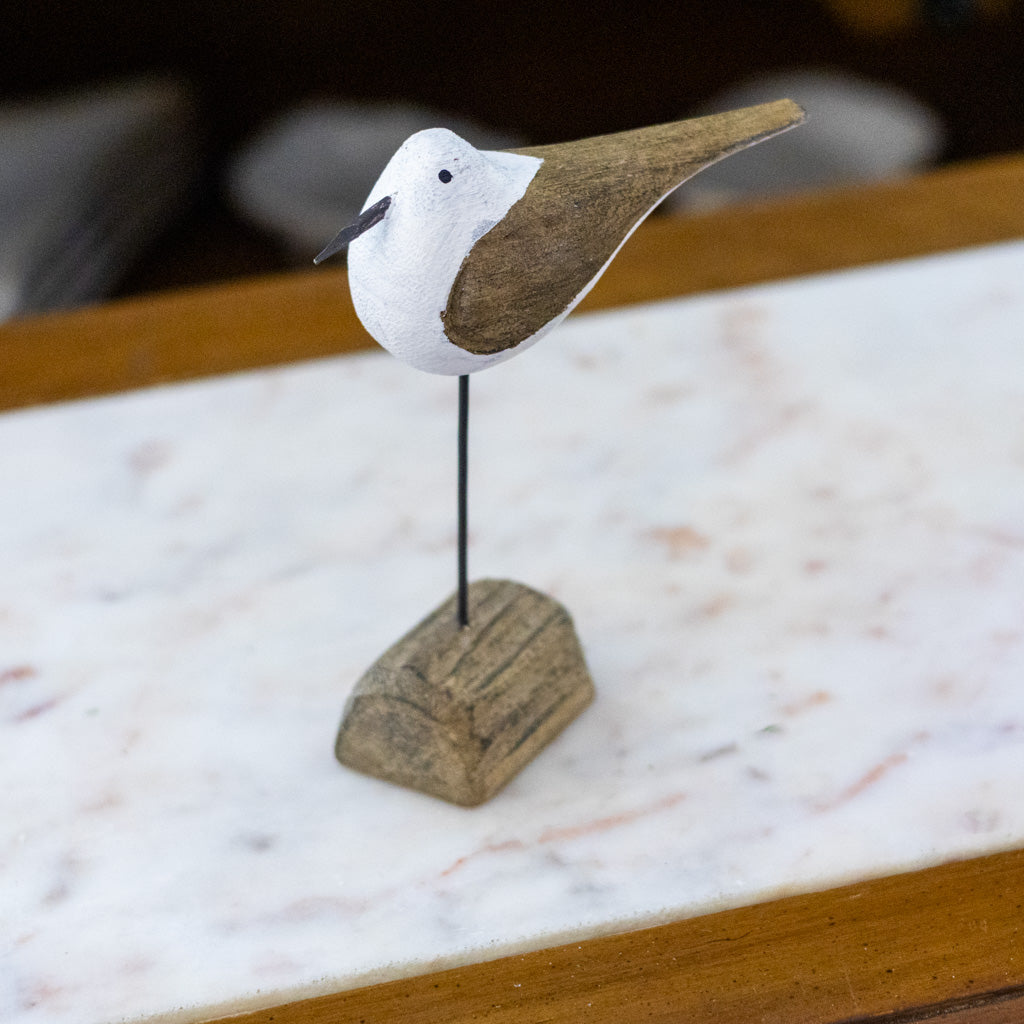 Tall Seagull on Driftwood