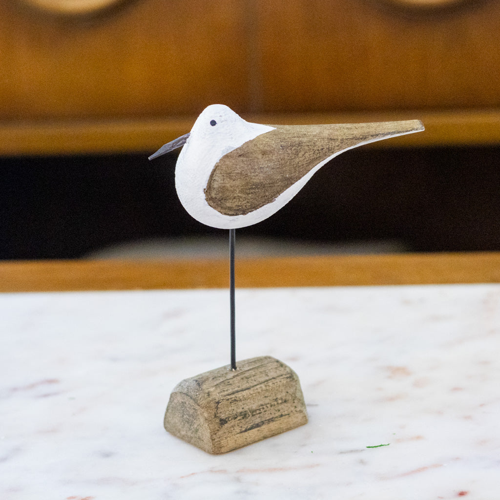Tall Seagull on Driftwood