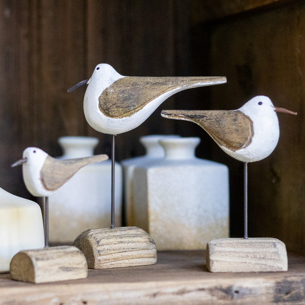 Tall Seagull on Driftwood