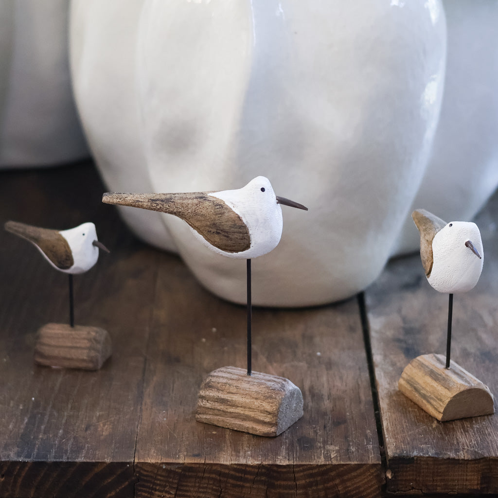Tall Seagull on Driftwood