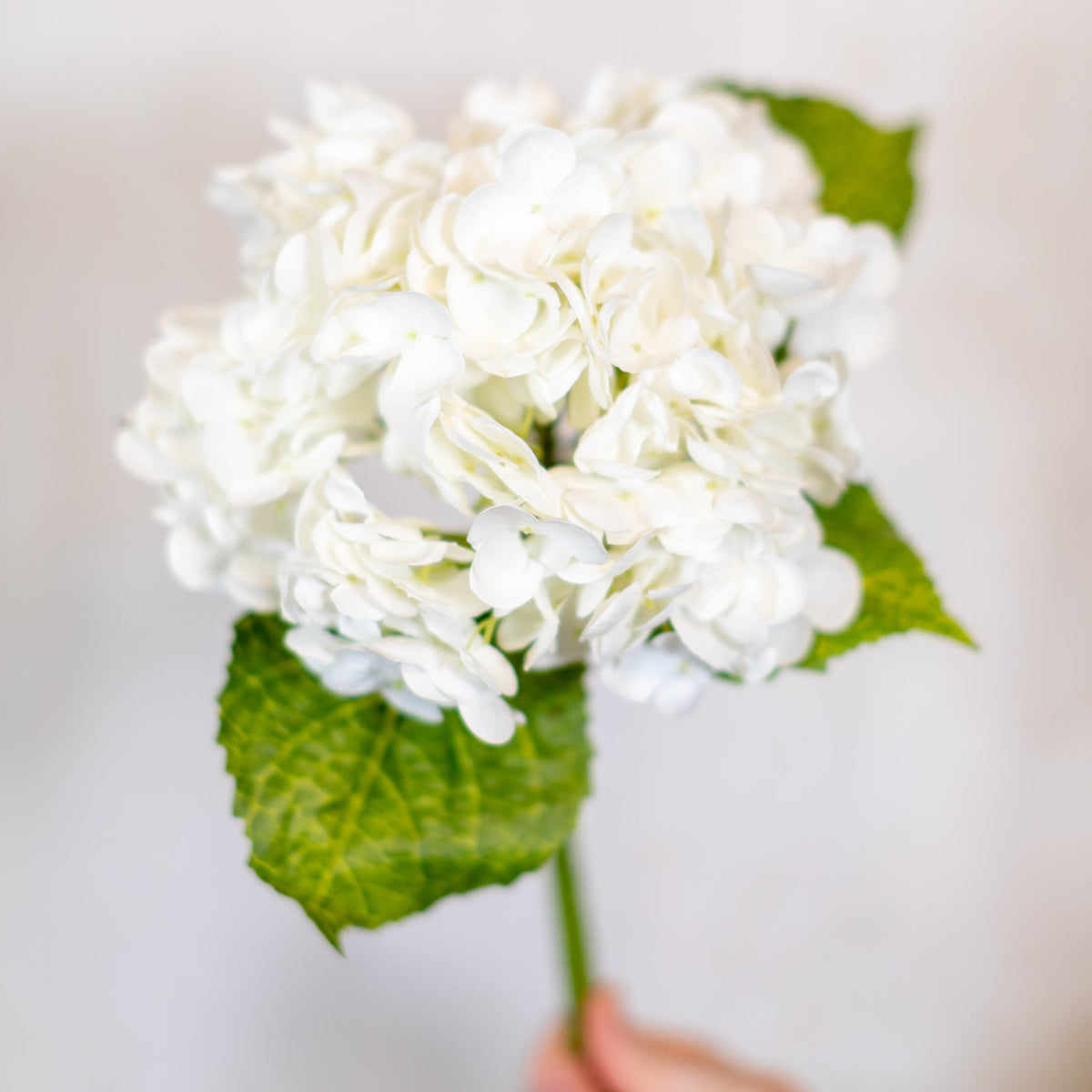White Hydrangea Single Stem Real Touch