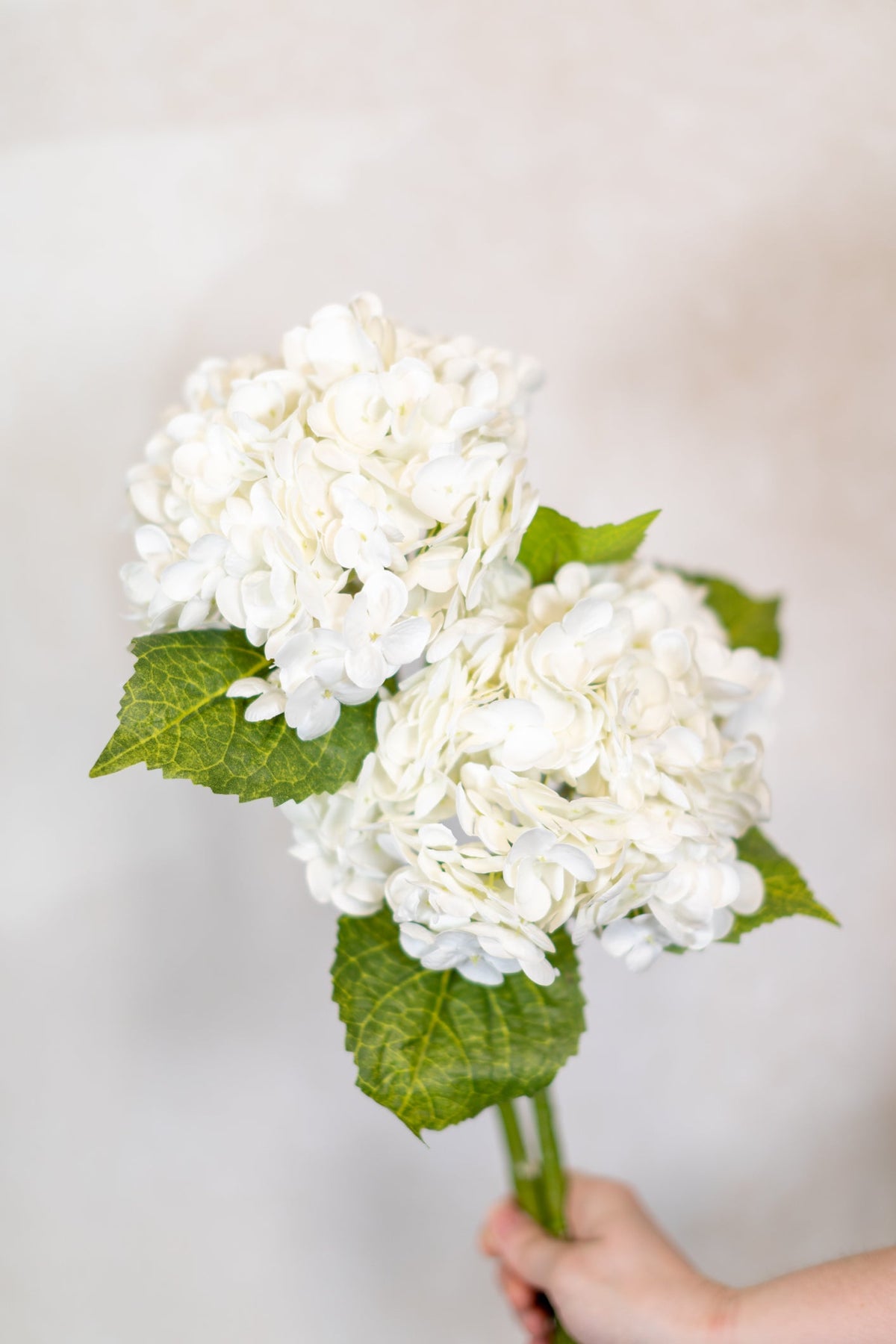 White Hydrangea Single Stem Real Touch