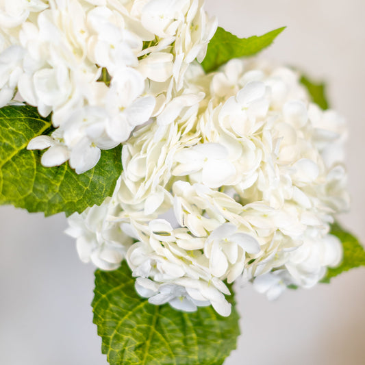 White Hydrangea Single Stem Real Touch