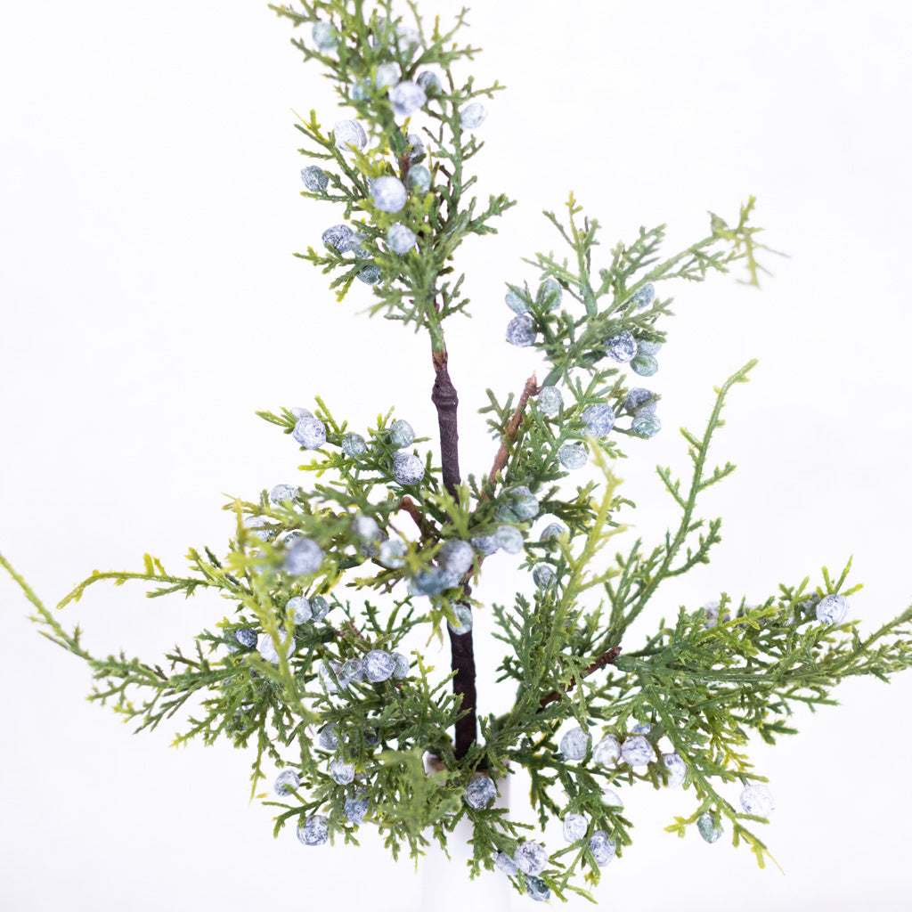 Juniper Spray with Berries Stem