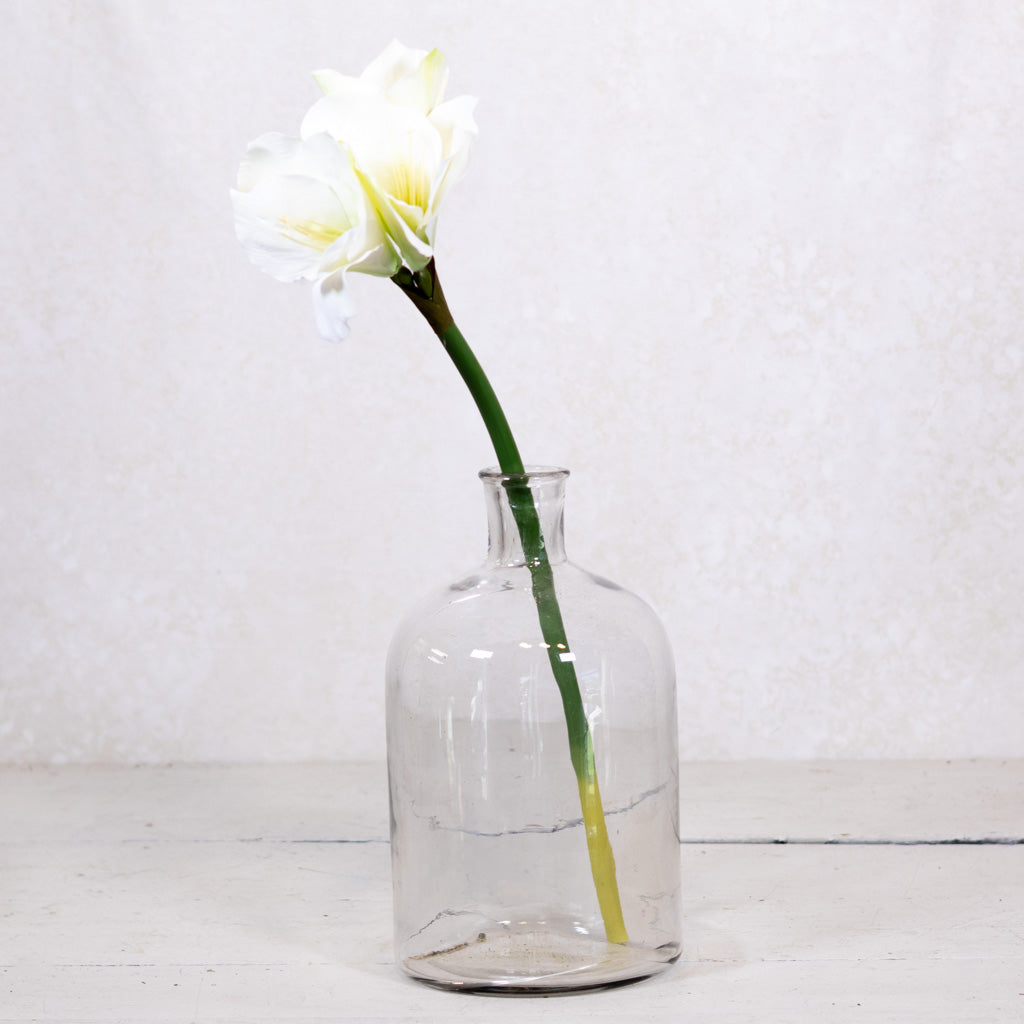 Amaryllis White Green Stem