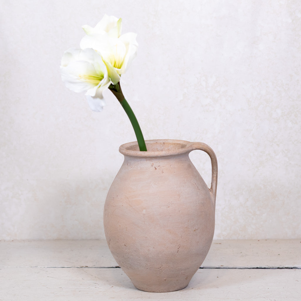 Amaryllis White Green Stem