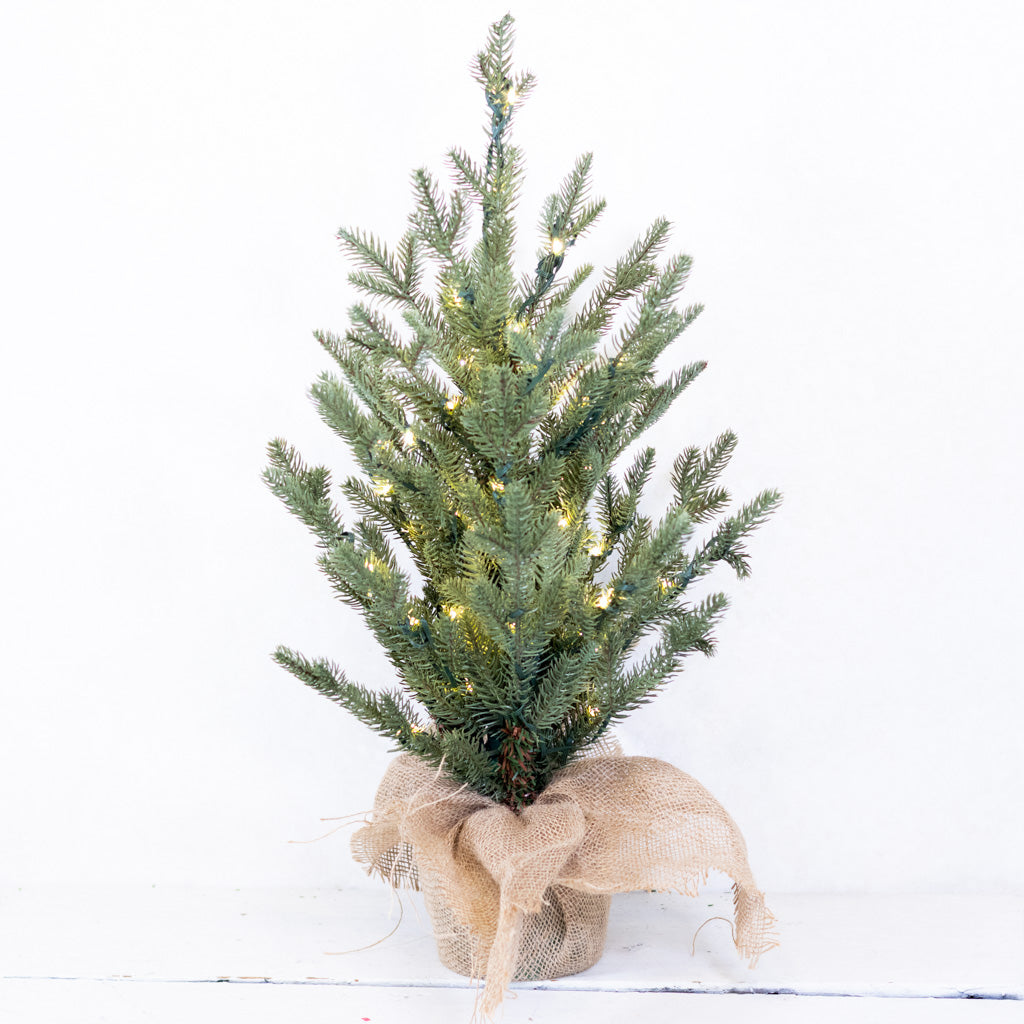 2 ft. Pre Lit Spruce Tree in Potted Burlap