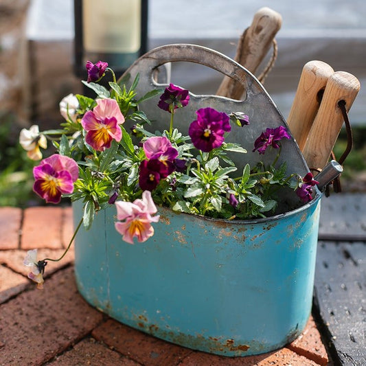 Organisateur d'outils en métal bleu pour jardin fleuri
