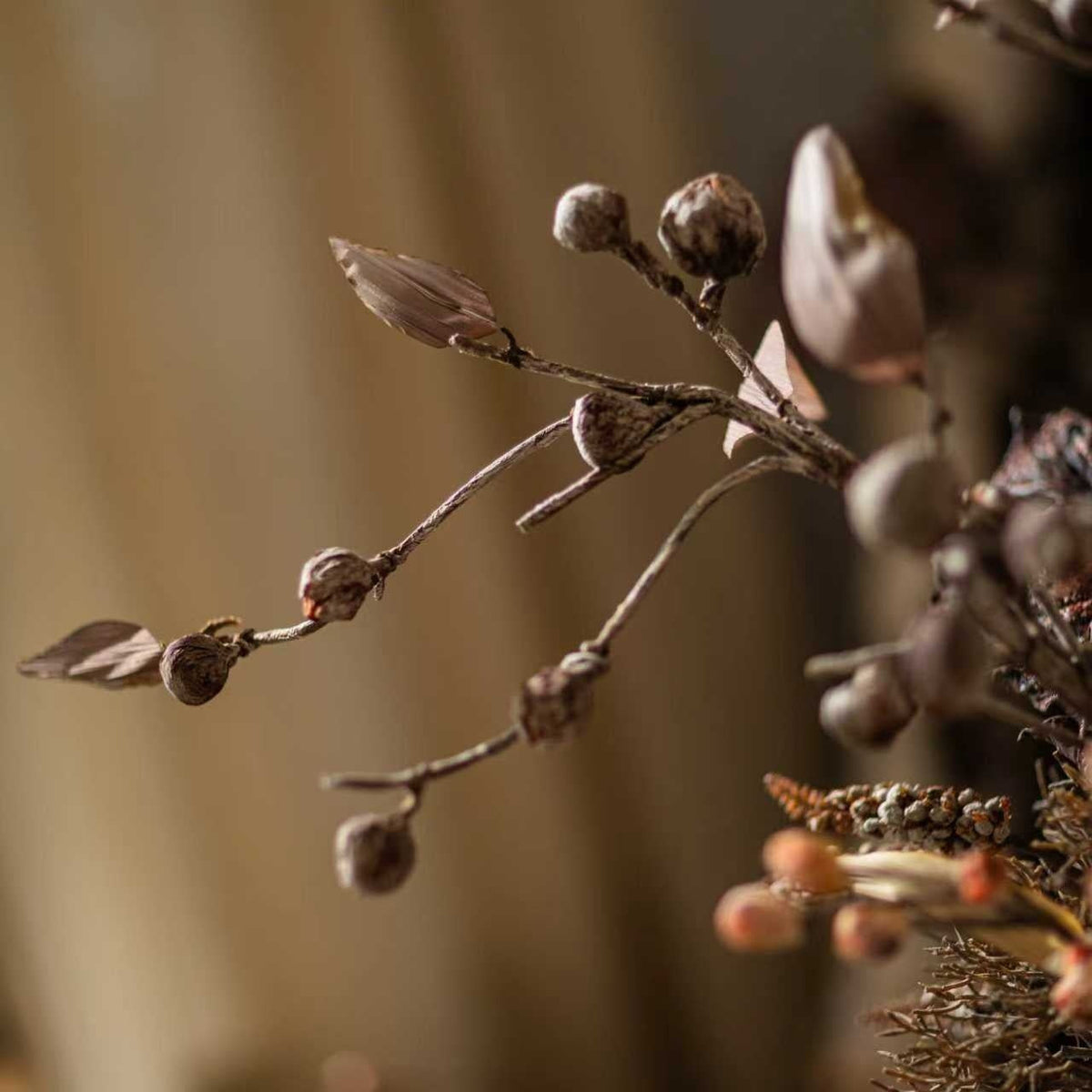 Brown Faux Pod Branch with Leaves 43" Tall