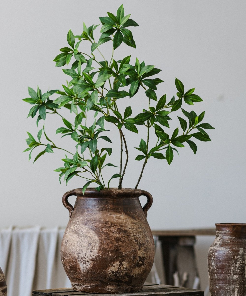 Pot en terre cuite marron de restauration