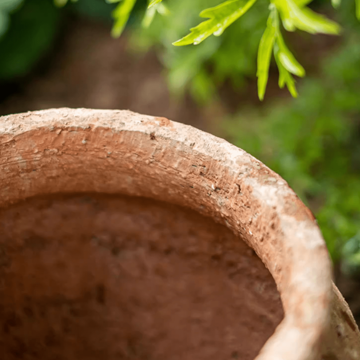 Distressed Cement Plant Pot