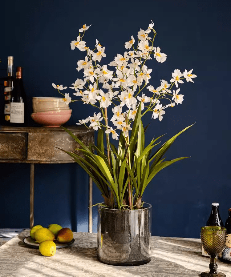 White Hui Lan Orchid in Glass Pot