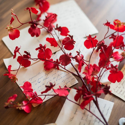 Tige d'orchidée Oncidium impressionniste rouge, 79 cm de hauteur