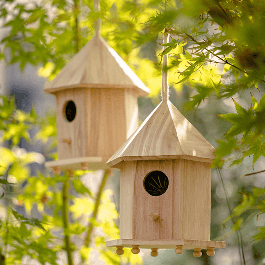 Nid d'oiseau en bois massif naturel