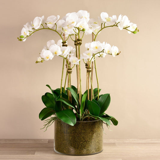 Elegant Real-Touch White Orchid Arrangement in Glass Vase – Luxury Faux Floral Centerpiece