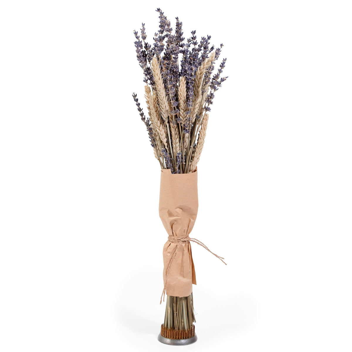 Lavender & Aveena Bundle