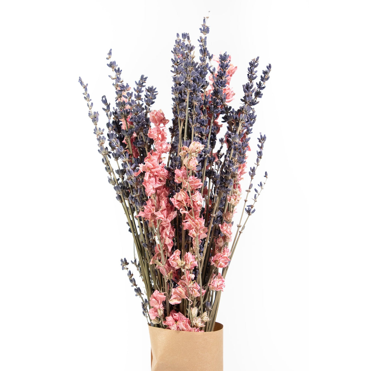 Lavender & Pink Larkspur Bundle
