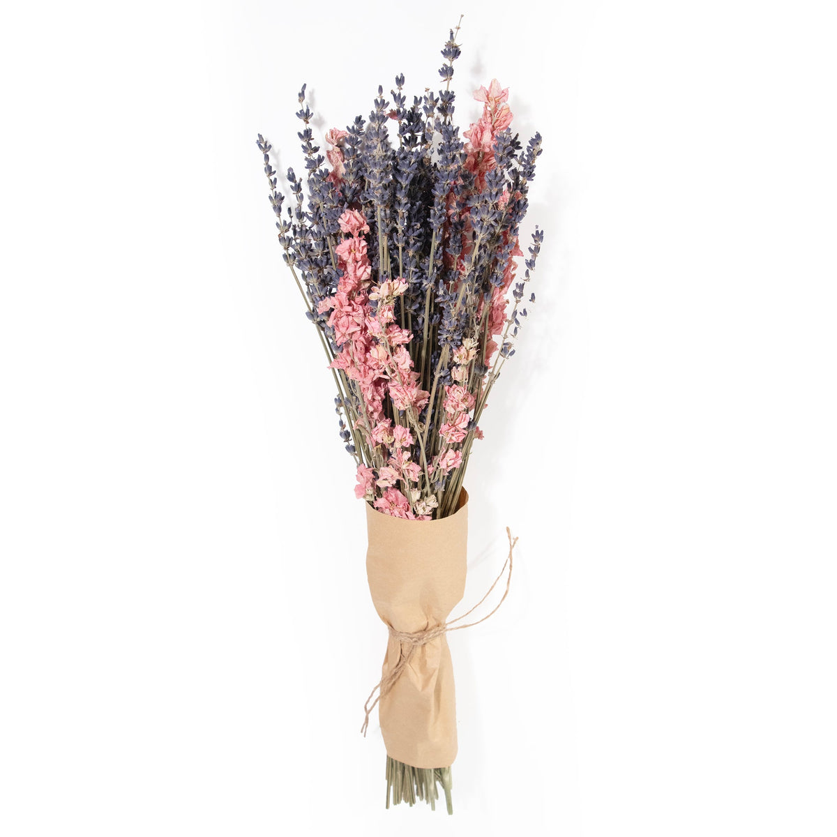 Lavender & Pink Larkspur Bundle
